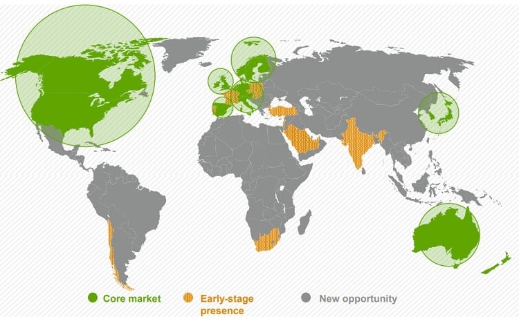 World map showing Dexcom has identified a "core market" that consists of countries with people who can afford first-world luxuries like CGM (countries seen in green circles)