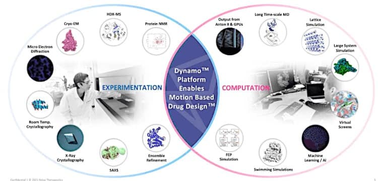Dynamo platform