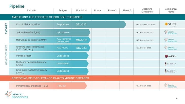 Infographic showing Selecta Biosciences'current pipeline bearing only the faintest resemblance of its former promises with a whole slew of new partners on board.
